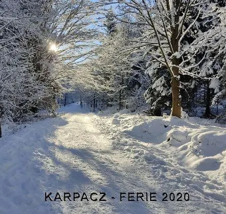 アパート Karpacz4you 